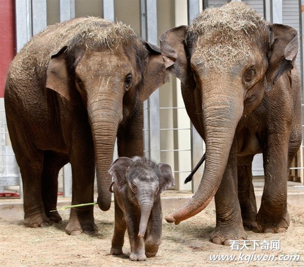 ʵ�Ķ�����Ȥ˲�䣬�ȷ���